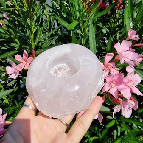 rozsakvarc-mecsestarto