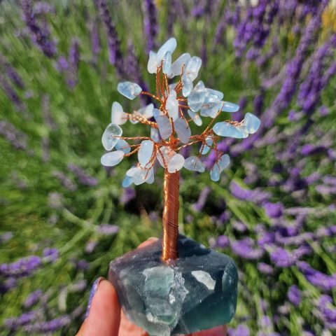 akvamarin-szerencsefa