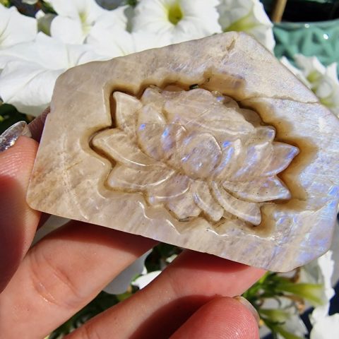 holdko-asvany-lotuszvirag